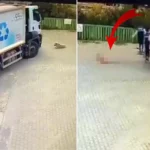 Çöp kamyonunun altında kalan köpek, feci şekilde can verdi