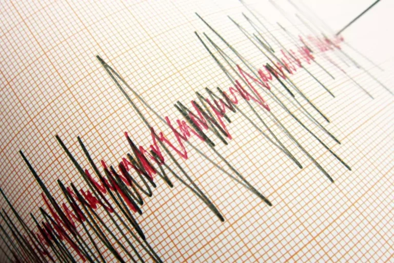 Erzincan’da korkutan deprem