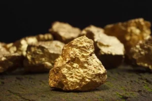 Arazisinden 150 ton altın çıkan çiftçi 1 kuruş alamayacak