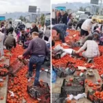 Haberi alan koşup geldi, kasa kasa doldurup götürdüler