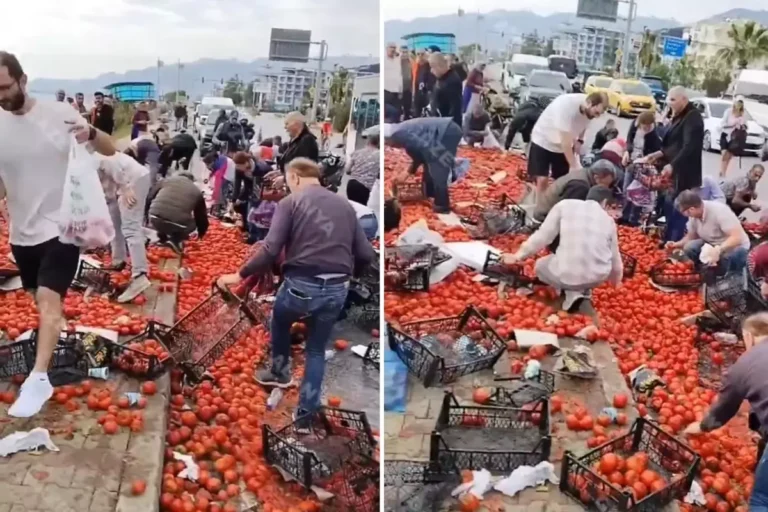 Haberi alan koşup geldi, kasa kasa doldurup götürdüler
