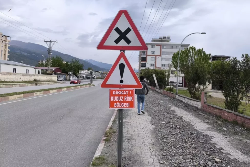 Bir kentte kuduz alarmı! Bölge karantinaya alındı