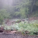 Uçuruma yuvarlanan araçtaki 2 kişi hayatını kaybetti