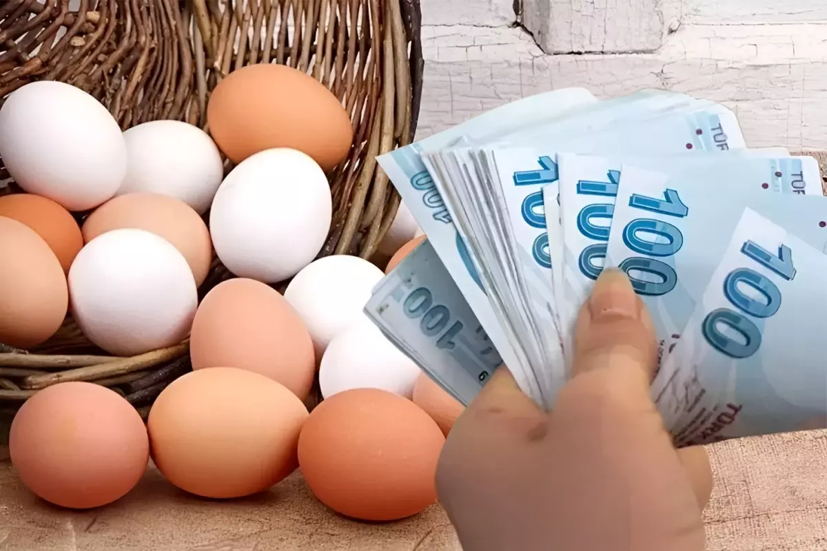 Yumurta fiyatı altını da solladı